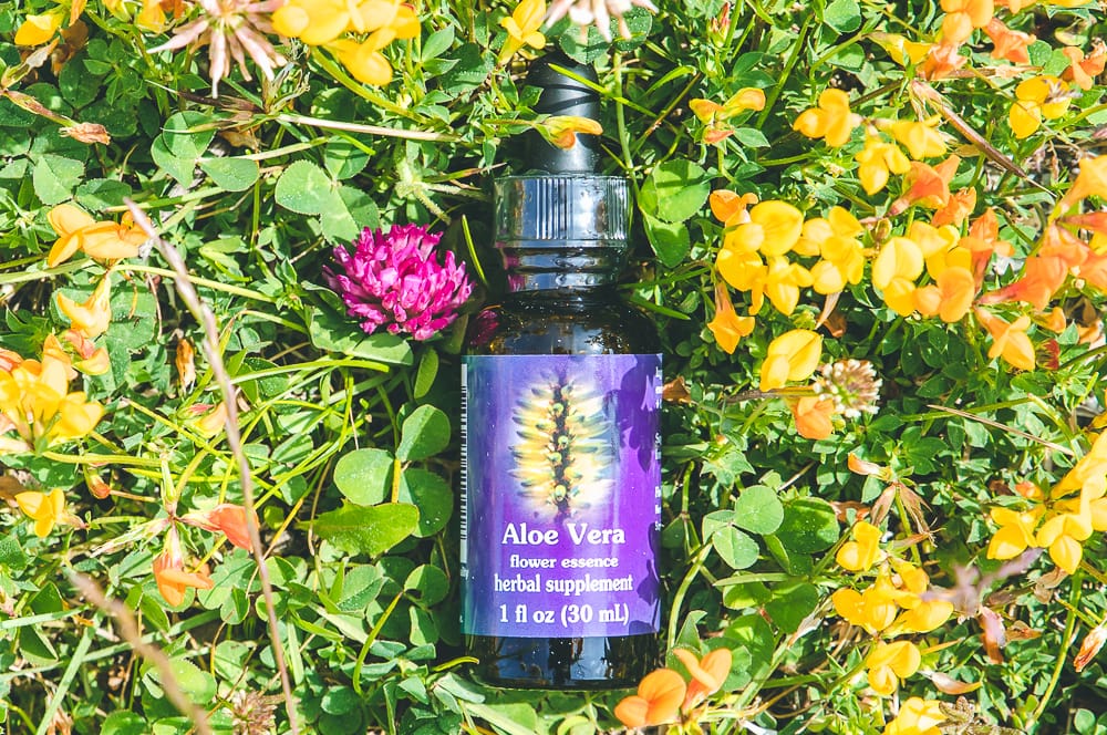 ELIXIR FLORAL ALOE VERA (burn-out) – Image 2