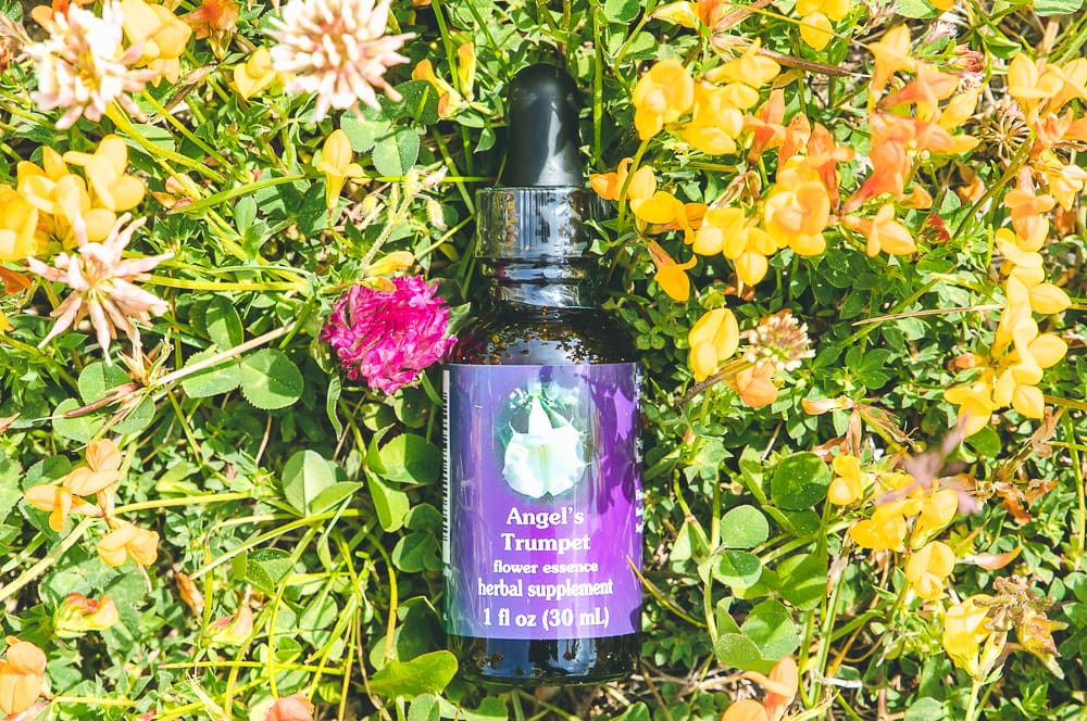 ELIXIR FLORAL ANGEL'S TRUMPET (peur de la mort) – Image 2