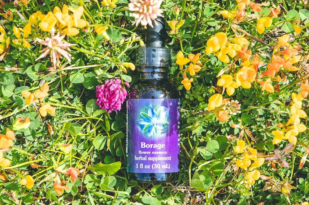 ELIXIR FLORAL BORAGE (optimisme) – Image 2