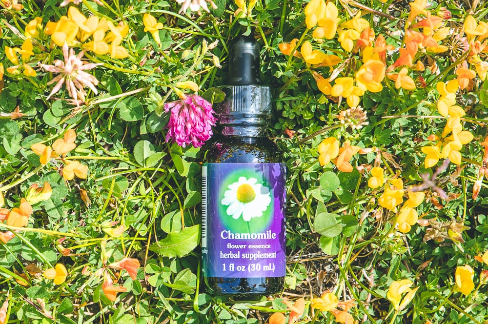 ELIXIR FLORAL CHAMOMILE (zénitude) – Image 2