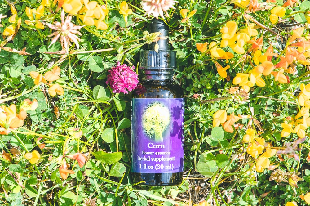 ELIXIR FLORAL CORN (stress de la ville ou des foules) – Image 2