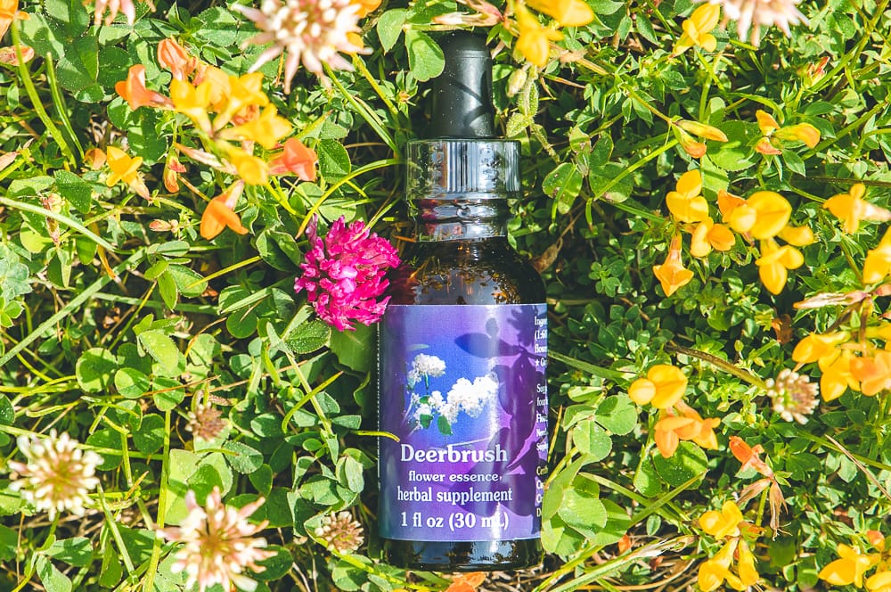 ELIXIR FLORAL DEERBRUSH (authenticité) – Image 2