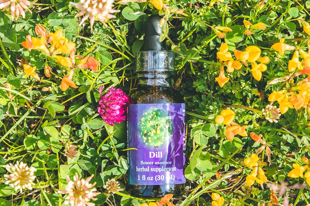 ELIXIR FLORAL DILL (hypersensibilité) – Image 2