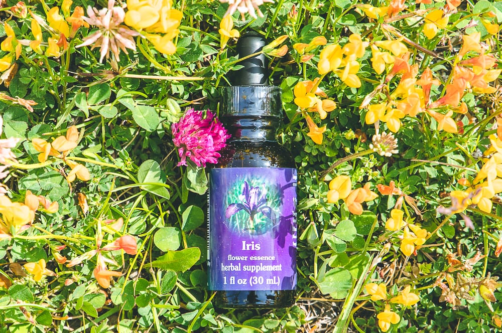 ELIXIR FLORAL IRIS (inspiration créatrice) – Image 2