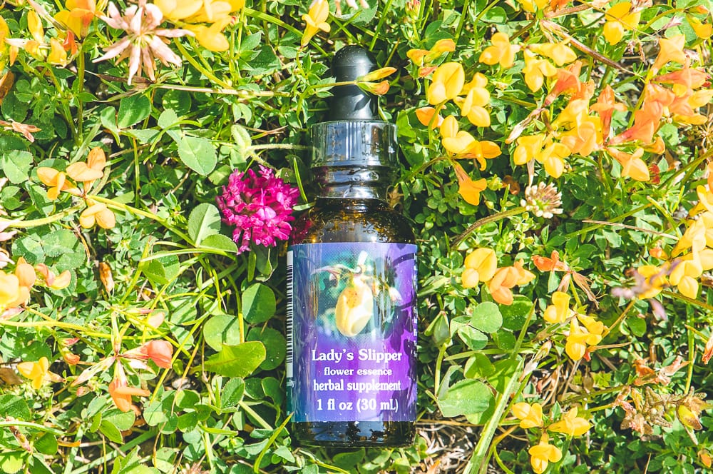 ELIXIR FLORAL LADY'S SLIPPER (épuisement) – Image 2
