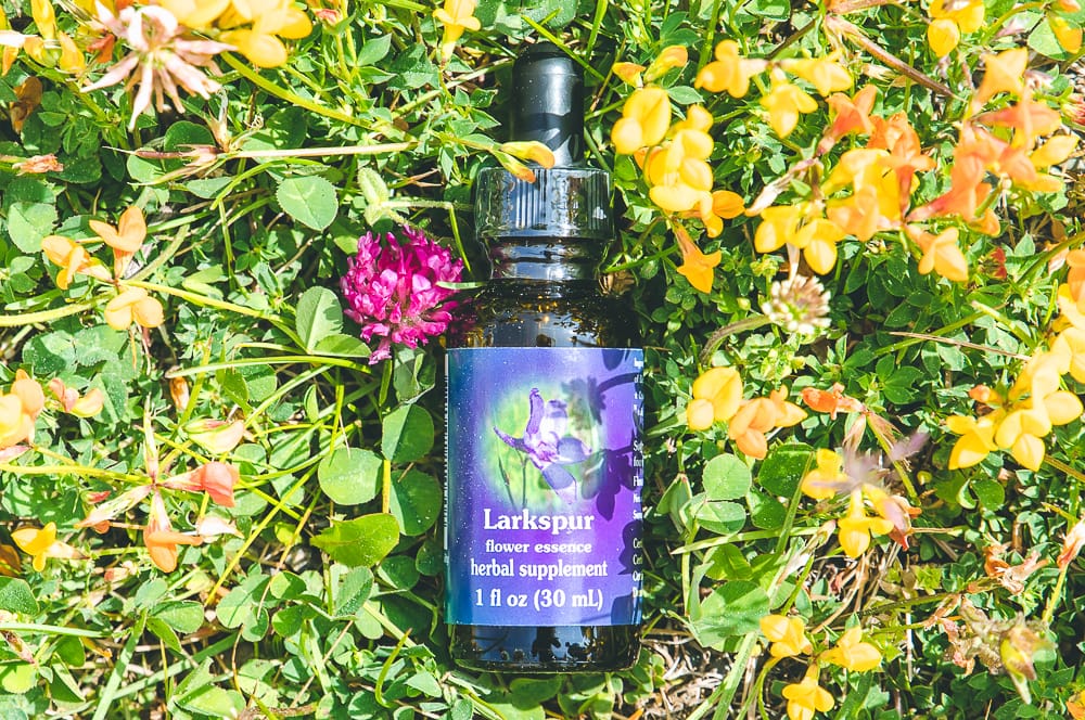 ELIXIR FLORAL LARKSPUR (leadership) – Image 2