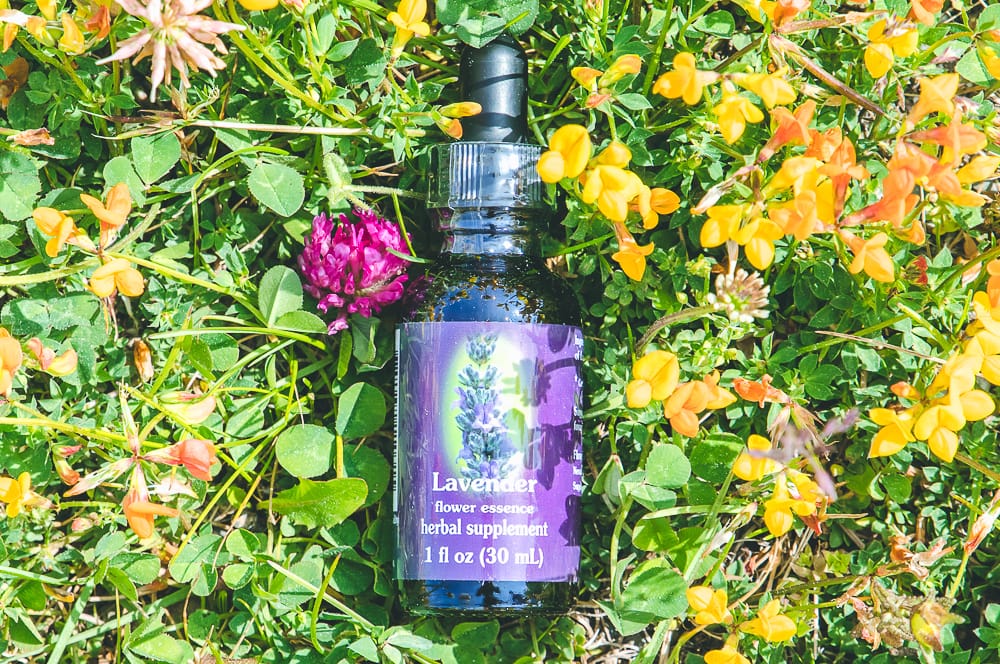 ELIXIR FLORAL LAVENDER (tension nerveuse) – Image 2