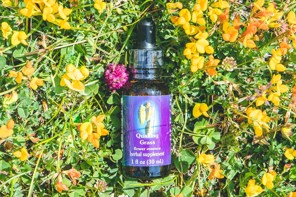 ELIXIR FLORAL QUAKING GRASS (harmonie en groupe) – Image 2