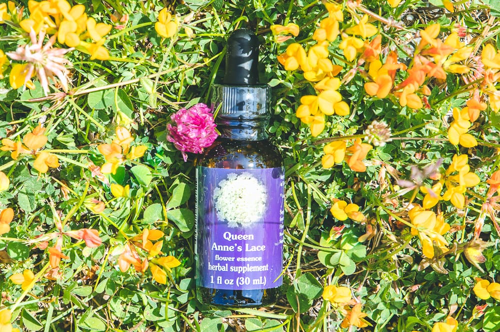 ELIXIR FLORAL QUEEN ANNE'S LACE (vision) – Image 2