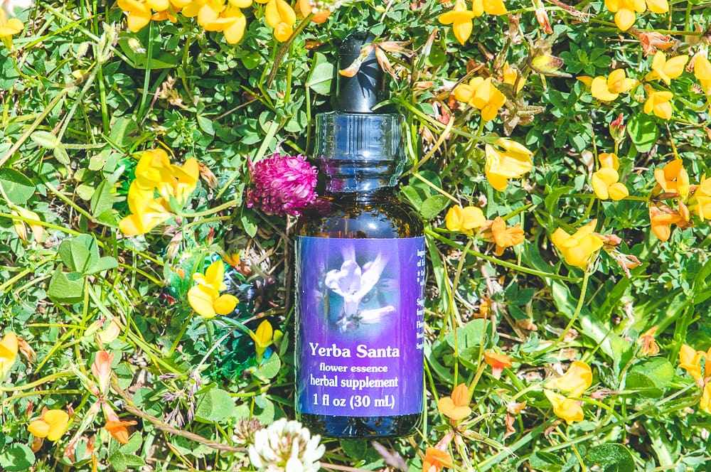 ELIXIR FLORAL YERBA SANTA (tristesse) – Image 2