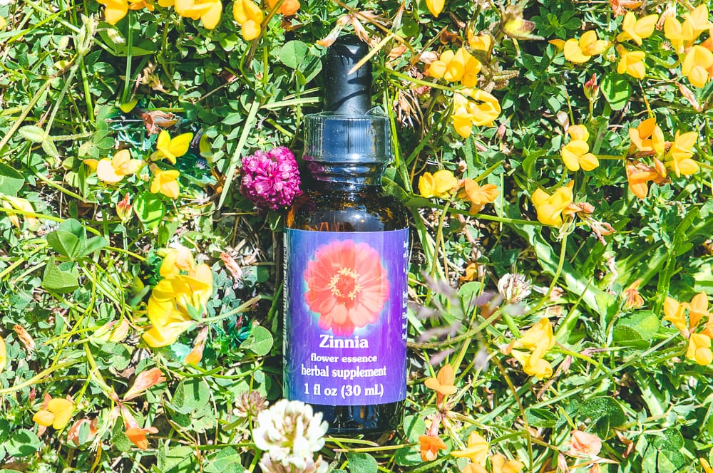 ELIXIR FLORAL ZINNIA (spontanéité) – Image 2