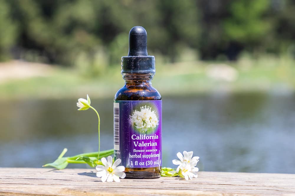ELIXIR FLORAL CALIFORNIA VALERIAN (anxiété) – Image 2