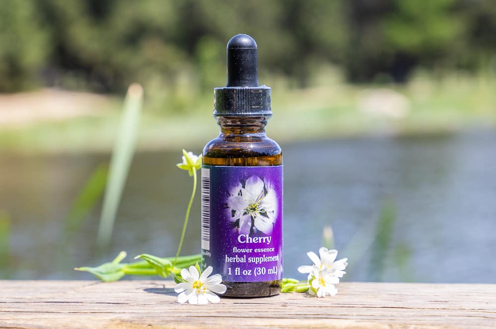 ELIXIR FLORAL CHERRY (passage à l'âge adulte) – Image 2