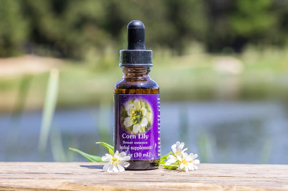 ELIXIR FLORAL CORN LILY (vieillissement) – Image 2