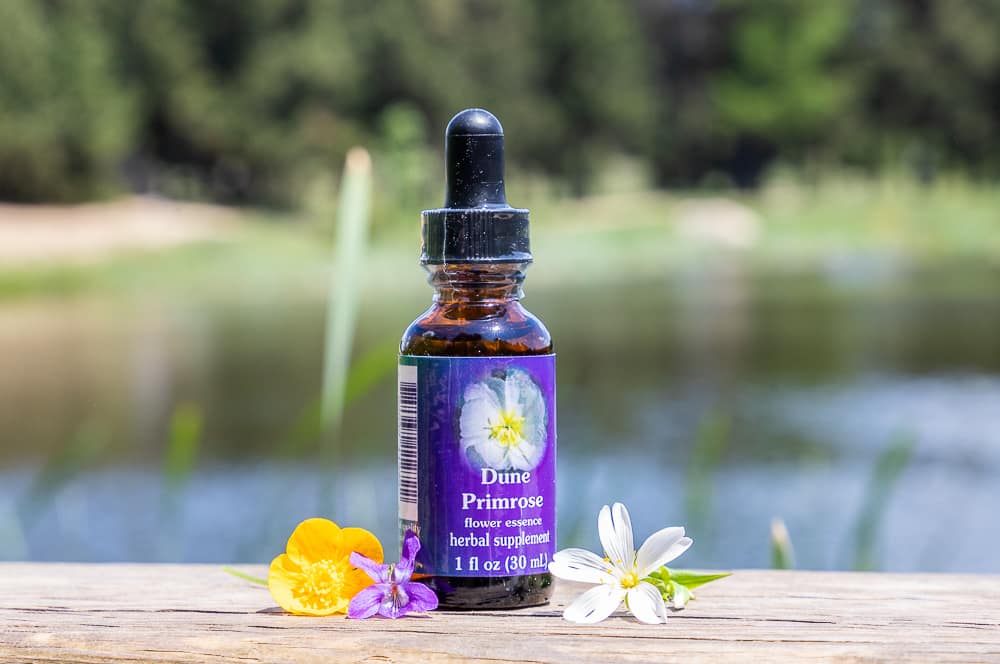 ELIXIR FLORAL DUNE PRIMROSE (féminin sacré) – Image 2