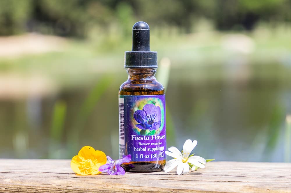 ELIXIR FLORAL FIESTA FLOWER (tolérance) – Image 2