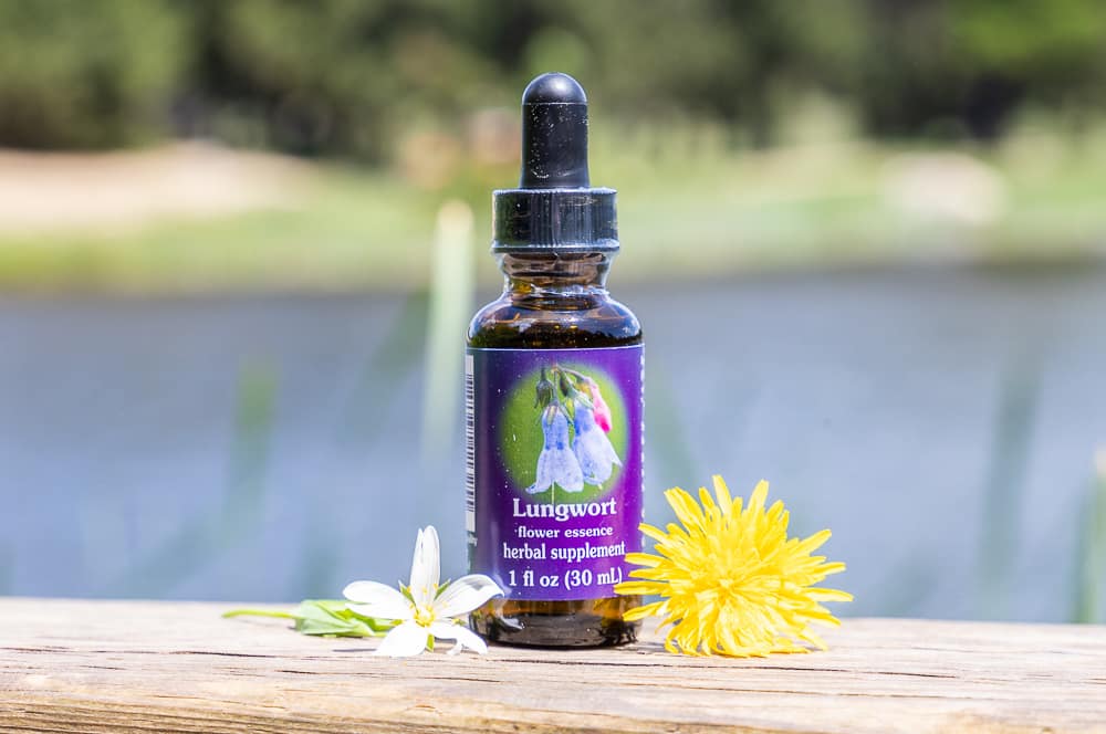 ELIXIR FLORAL LUNGWORT (support à la désintoxication) – Image 2