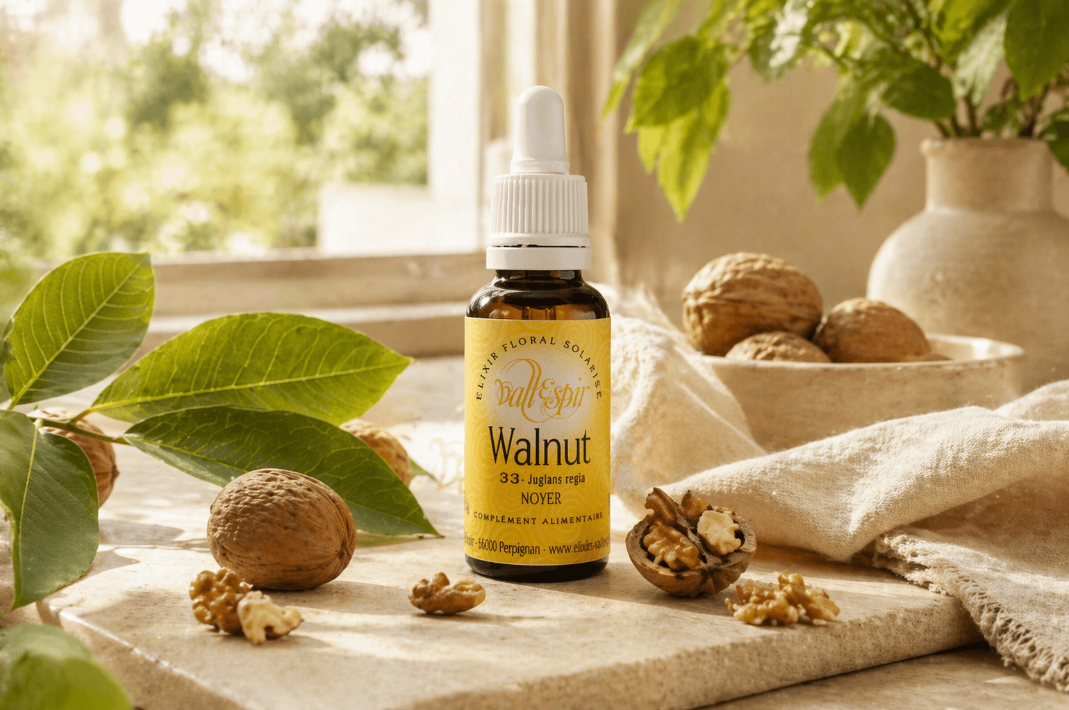 Fleur de Bach WALNUT n°33 bio – 20ml – Image 2