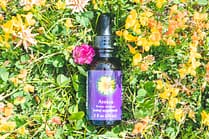 Elixir FES Arnica - Valmir