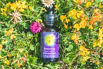 Elixir FES Buttercup - Valmir