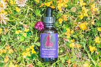 Elixir FES Scarlet Monkeyflower - Valmir