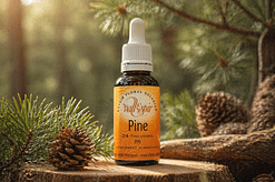 Elixir bach Vallespir 24 Pine - Valmir.jpg