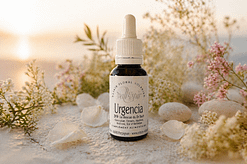 Elixir bach Vallespir 39 Urgencia - Valmir