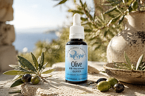 Elixir bach Vallespir 23 Olive - Valmir.jpg