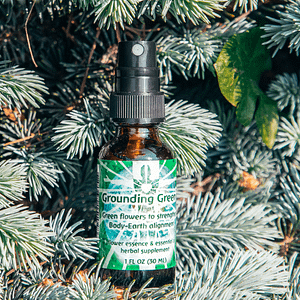 ELIXIR FLORAL GROUNDING GREEN (enracinement)