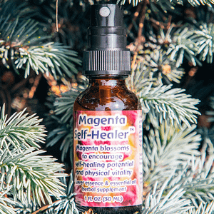 ELIXIR FLORAL MAGENTA SELF-HEALER (auto-guérison)