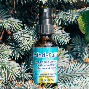 ELIXIR FLORAL MIND-FULL (capacités mentales)