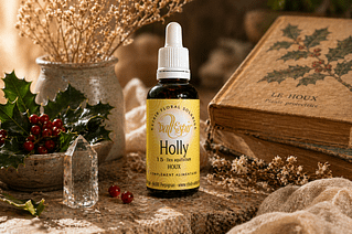 Elixir bach Vallespir 15 Holly - Valmir.jpg