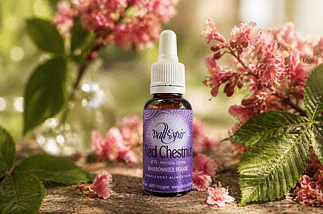 Elixir bach Vallespir 25 Red Chestnut - Valmir.jpg