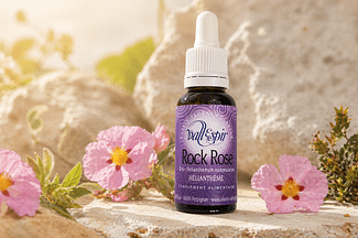 Elixir bach Vallespir 26 Rock Rose - Valmir.jpg