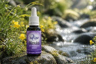 Elixir bach Vallespir 20 Mimulus - Valmir.jpg