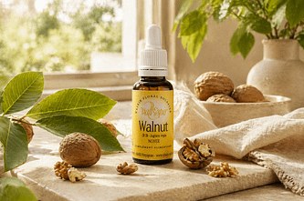 Elixir bach Vallespir 33 Walnut - Valmir.jpg
