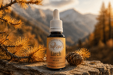 Elixir bach Vallespir 19 Larch - Valmir.jpg