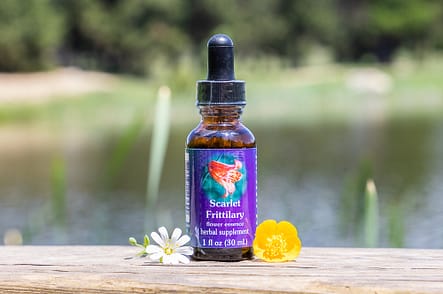 Elixir FES Scarlet Frittilary - Valmir