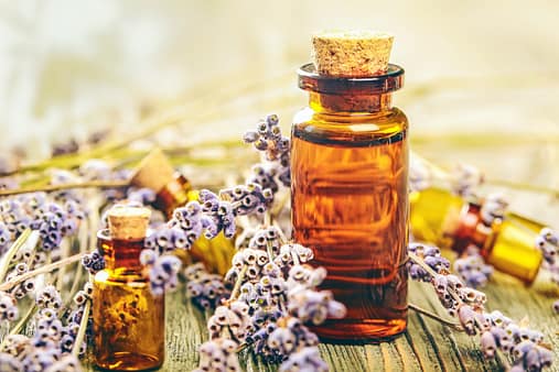 Bach, apothecary, remedy.