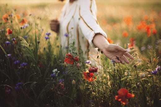 Woman in rustic dress gathering poppy and wildflowers in sunset