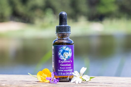 Elixir FES Explorer's Gentian - Valmir