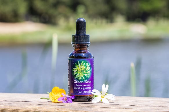 Elixir FES Green Rose - Valmir