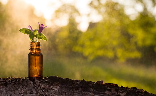 elixir-fleur_203602229