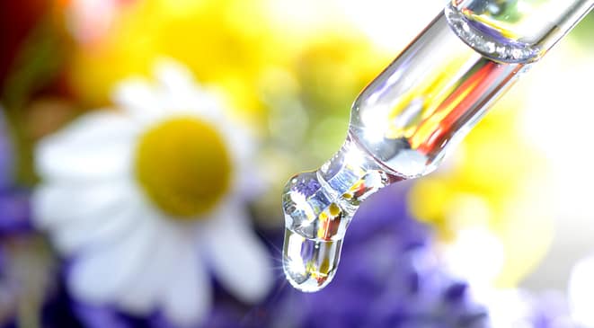 elixir-floral_122134994